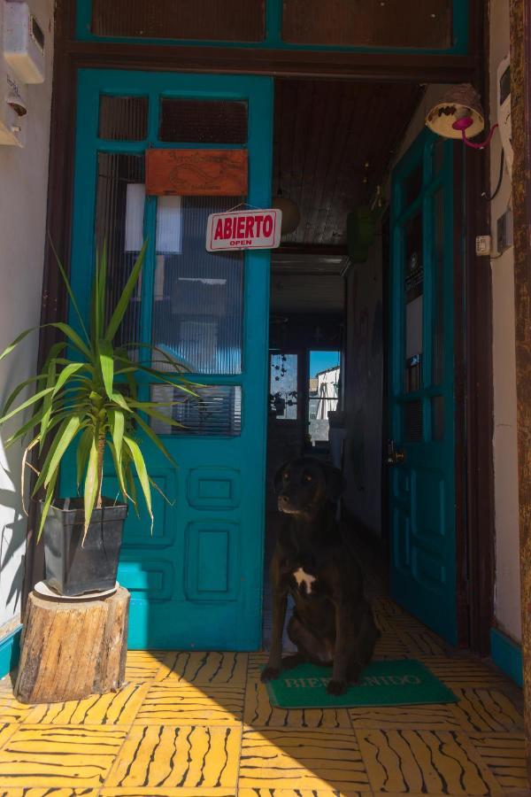 Bichon La Casa Hostal Pichilemu Exterior photo